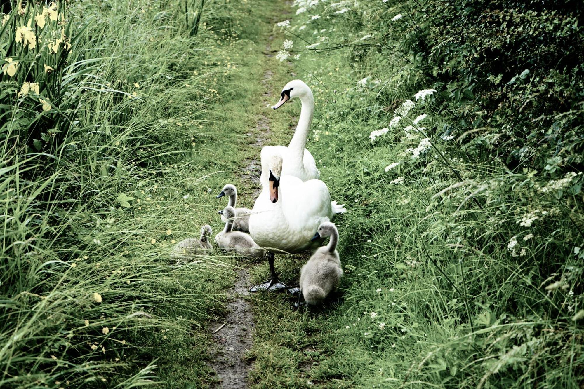 Duck Terrace With Gym Duckling Stays Kibworth Harcourt Εξωτερικό φωτογραφία